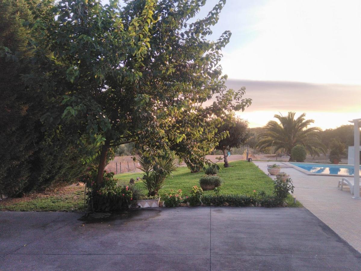 Villa Quinta Da Perdiz Country House Santarém Exterior foto